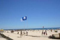 /album/galeria-de-fotos/manta-rota-jpg/